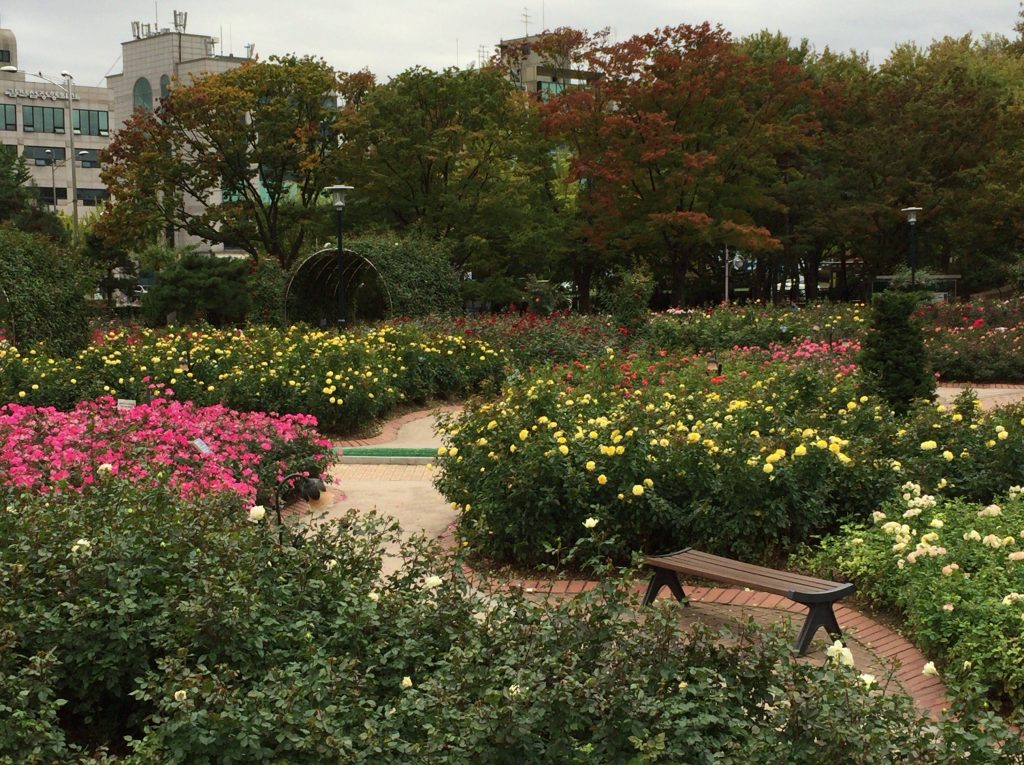 オリンピック公園のトゥルコッマル、들꽃마루とバラ園